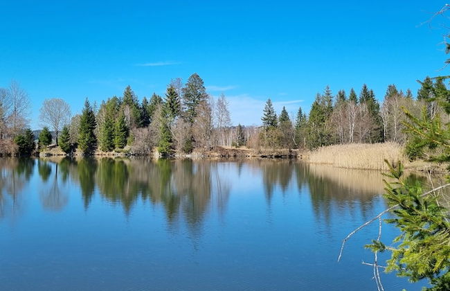 Villa Alpenpanorama - Foto 35