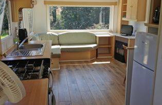 Meadow Bluebird - Foto 8