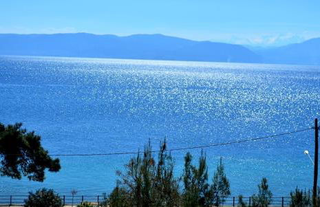 Studios Asteria - Photo 48