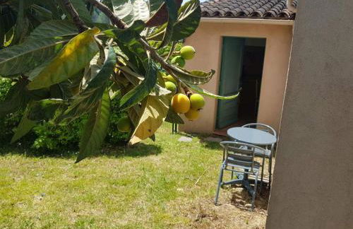 Grand studio - Foto 1