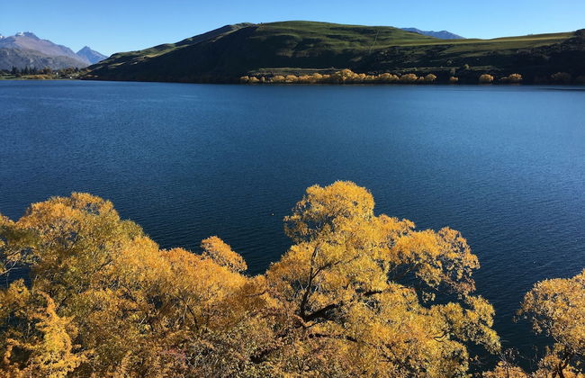 Settlers Cottage Motel - Foto 58