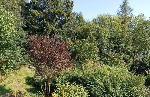 Zuhause Am Wald - Foto 41