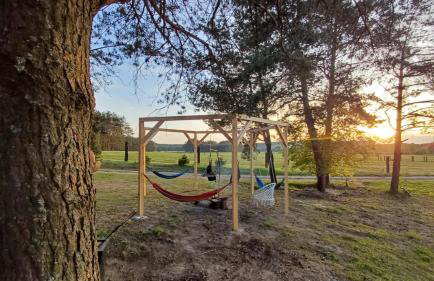 Agroturystyka "Apartament na wsi" Bory Tucholskie - Foto 37