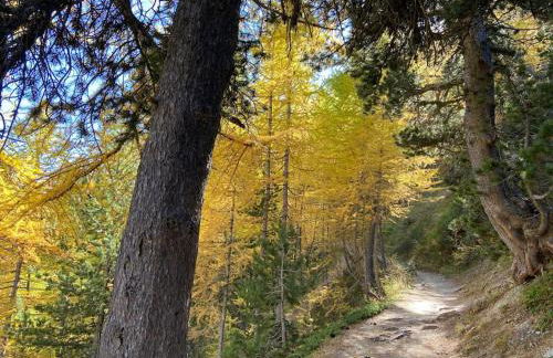 Relax in montagna - Foto 34