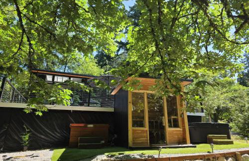 Estela's Home with Sauna Cold Plunge Hot Tub - Foto 1