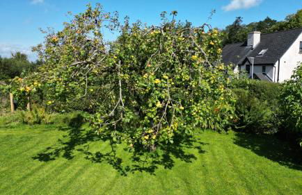 Cherrymount Cottage - Foto 37