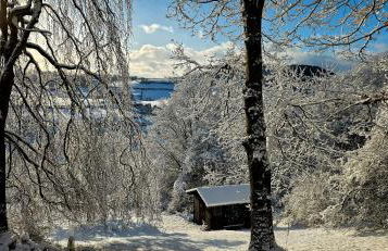 Auszeyt Edersee für Zwei - Foto 38