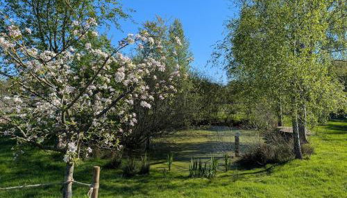 Familienfreundliches Ferienhaus auf Hof mit Schafen - Foto 4