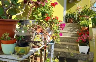 Corazón do Val da Louriña-Área Vigo - Foto 8