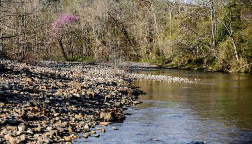 Caddo Cabin on Collier Creek - Foto 5