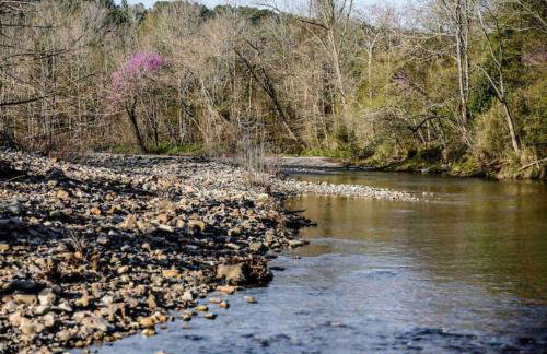 Caddo Cabin on Collier Creek - Foto 5