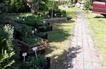 Kräuter-Heidi - Foto 26