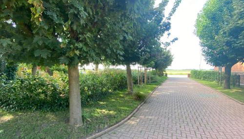 Ferienwohnung Groote Gat - Photo 4, Garden