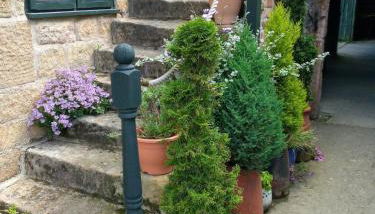 The Threshing Barn - Foto 2