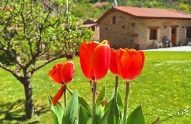 El Molino de Nocedo - Foto 28