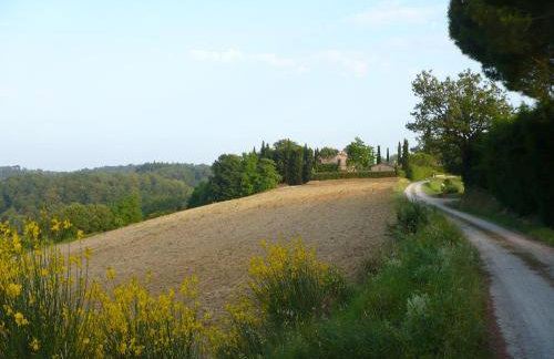 Podere Sionne - Foto 49