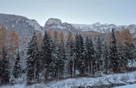 La Trementina Apartment & Spa - Foto 27