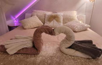 Au Fil De l' Eau 21 rue des Minotiers 43110 Aurec-sur-loire - Foto 31