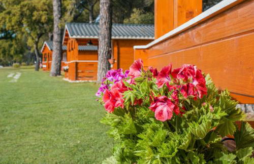 Chalet do Lago - Foto 6