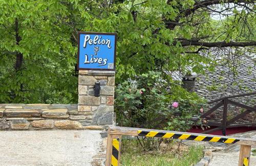 Pelion 7 Lives - Foto 19