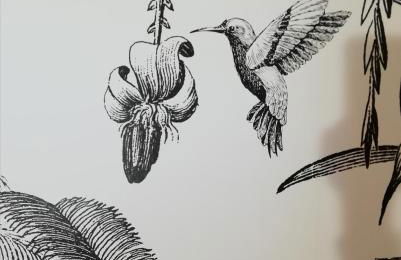 Ca'Joleo - Relax in Campagna del Lago di Garda - Foto 6