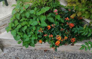 Villa Egina - Foto 5