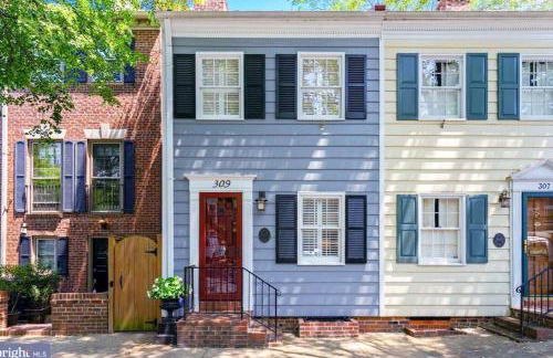 The Cavalier - Foto 12