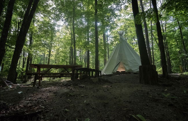 Parc Omega - Foto 12