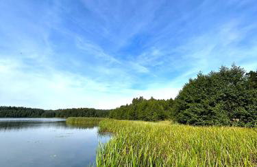 Forest Mood - Foto 65