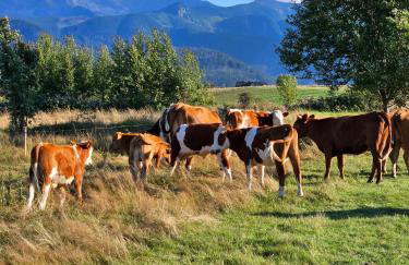 Góralska Chatka 2 Highland Cottage - Split AC, Jacuzzi, Sauna, Private parking, Mountains View, Garden, Zakopane - Foto 71