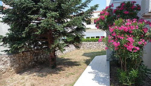 Cukar Apartment Gajac - Foto 4