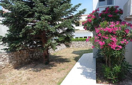 Cukar Apartment Gajac - Foto 4