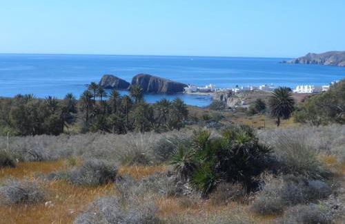 Apartamento encantador - Foto 23