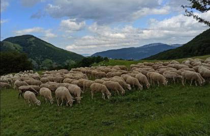 LA CASETTA - Mon Petit Chalet - Foto 41