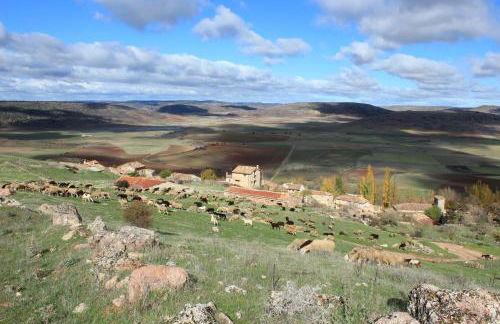 Casa Rural Las Tainas de Carabias - Foto 40