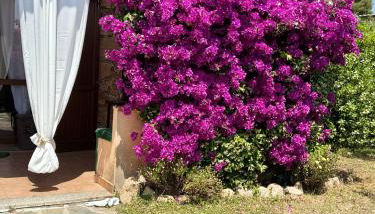 Mattias Home - Foto 2