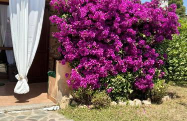 Mattias Home - Foto 2