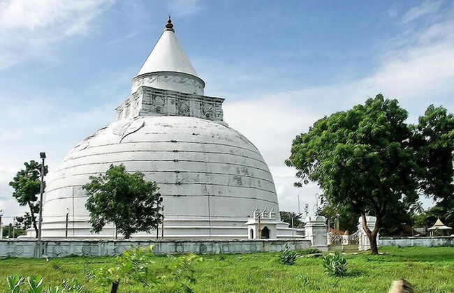 Yala Waves Beach Resort - Foto 31