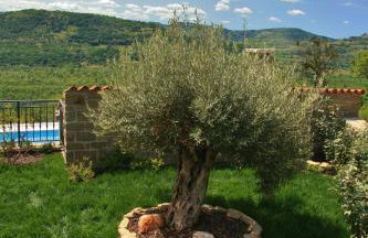 Villa Banic - Foto 42