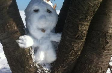 ****Fewo "Alltag...ADE'" - Foto 29