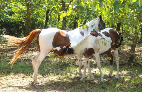 Agriturismo La Piana - Foto 144