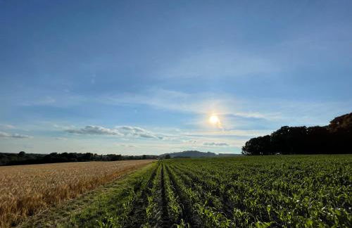 The Old Chapel - Photo 31