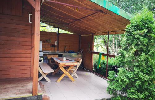 domki domek na jeziorem Wilczyńskim Budzisławskim , las, osobno ogrodzony 2-6 osób- klimatyzacja, ogrzewanie, 62-550 Zygmuntowo gm Wilczyn - Foto 26