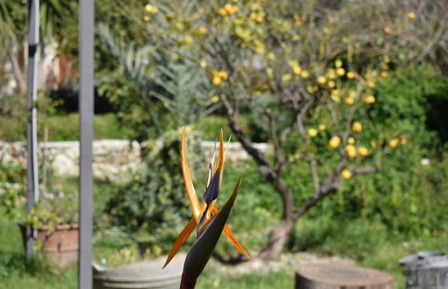 Picturesque Traditional Stone House - Foto 14