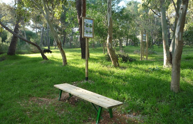 BioMasseria Santa Lucia - Photo 50