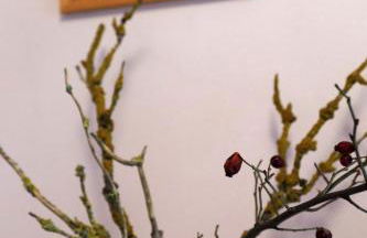 Thomashof Klein-Mutz - Foto 63