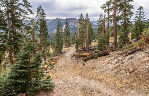 Bridges 112 - Foto 28