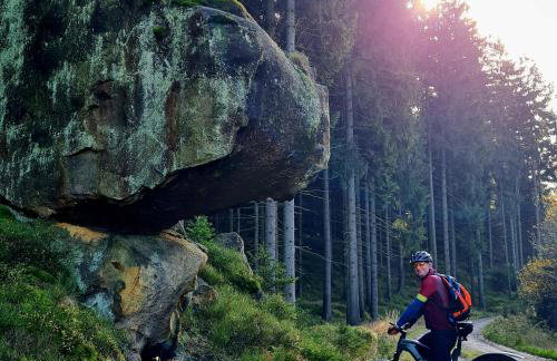 Urlaubsdomizil Am Töpfer - Ferienwohnungen in Olbersdorf - Foto 77