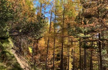 Casa Chigi - Foto 38