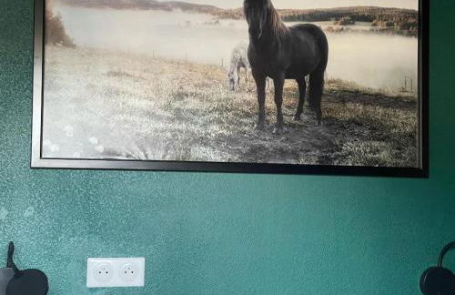 Appartement Cosy 4 personnes au coeur des Pyrénées - Foto 41